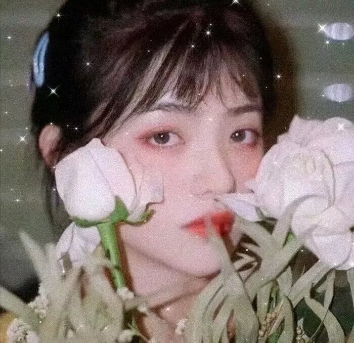 索拉一家